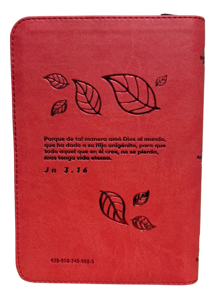 Biblia Reina Valera 1960 letra grande con cierre rojo canto dorado