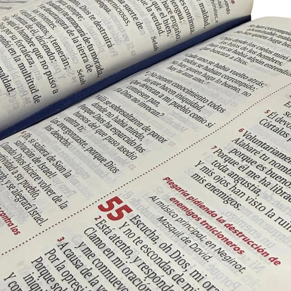 Biblia Reina Valera 1960 letra grande con cierre rojo canto dorado