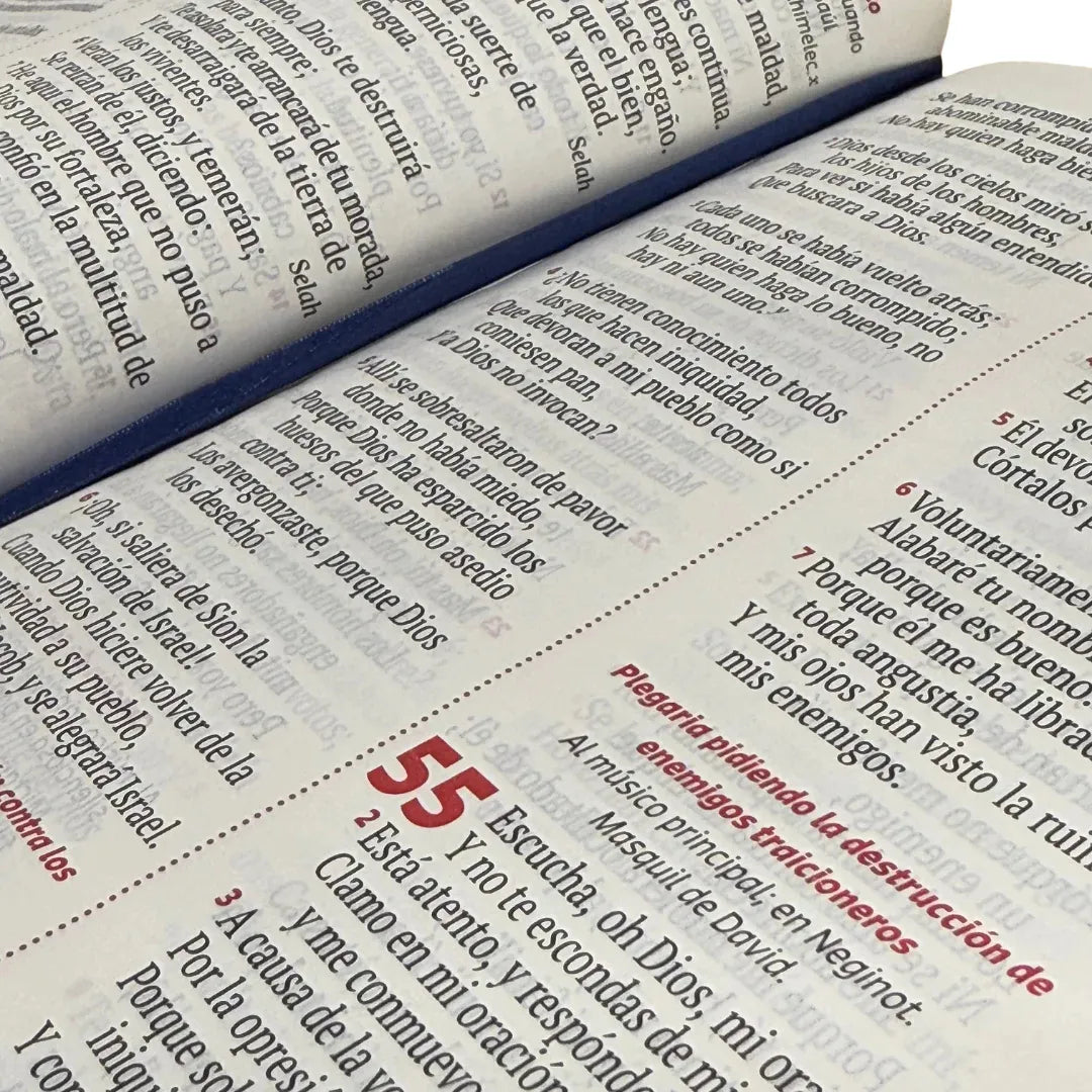 Biblia Reina Valera 1960 letra grande con cierre rosa canto plateado