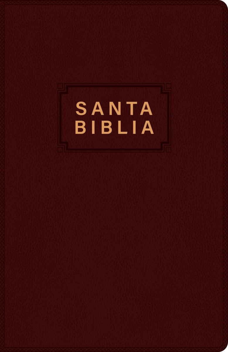 Biblia Nueva Traducción Viviente – Tapa Vinilo Bordo, Letra 7.25pt, 13.5x21.5 cm