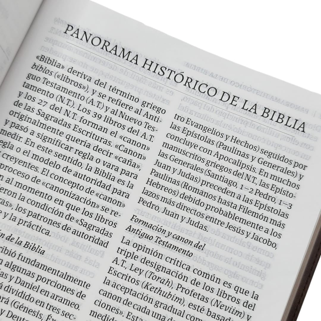 Biblia Reina Valera 1960 De Credos Y Confesiones Cafe Simil Piel