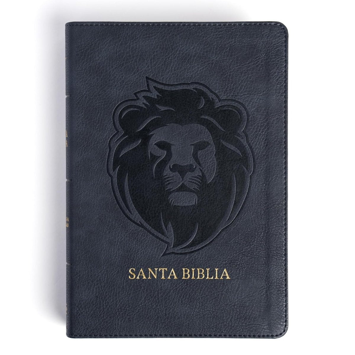 Biblia Reina-Valera 1960, Letra 12 Pt, 13,5×20, Tapa PU, León Ceniza