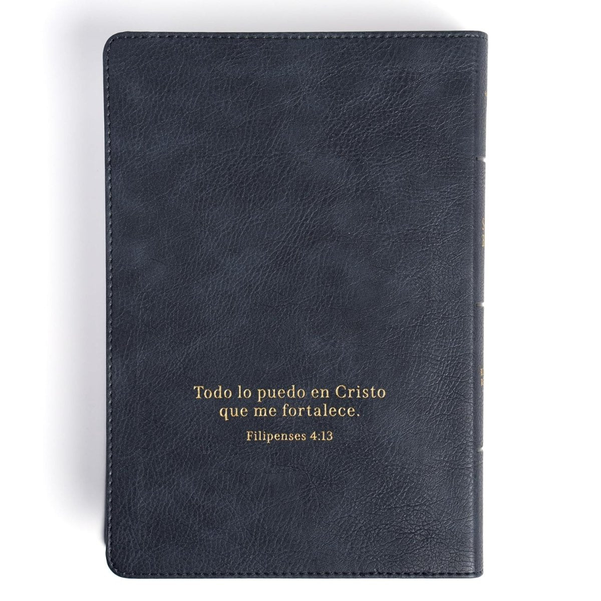 Biblia Reina-Valera 1960, Letra 12 Pt, 13,5×20, Tapa PU, León Ceniza