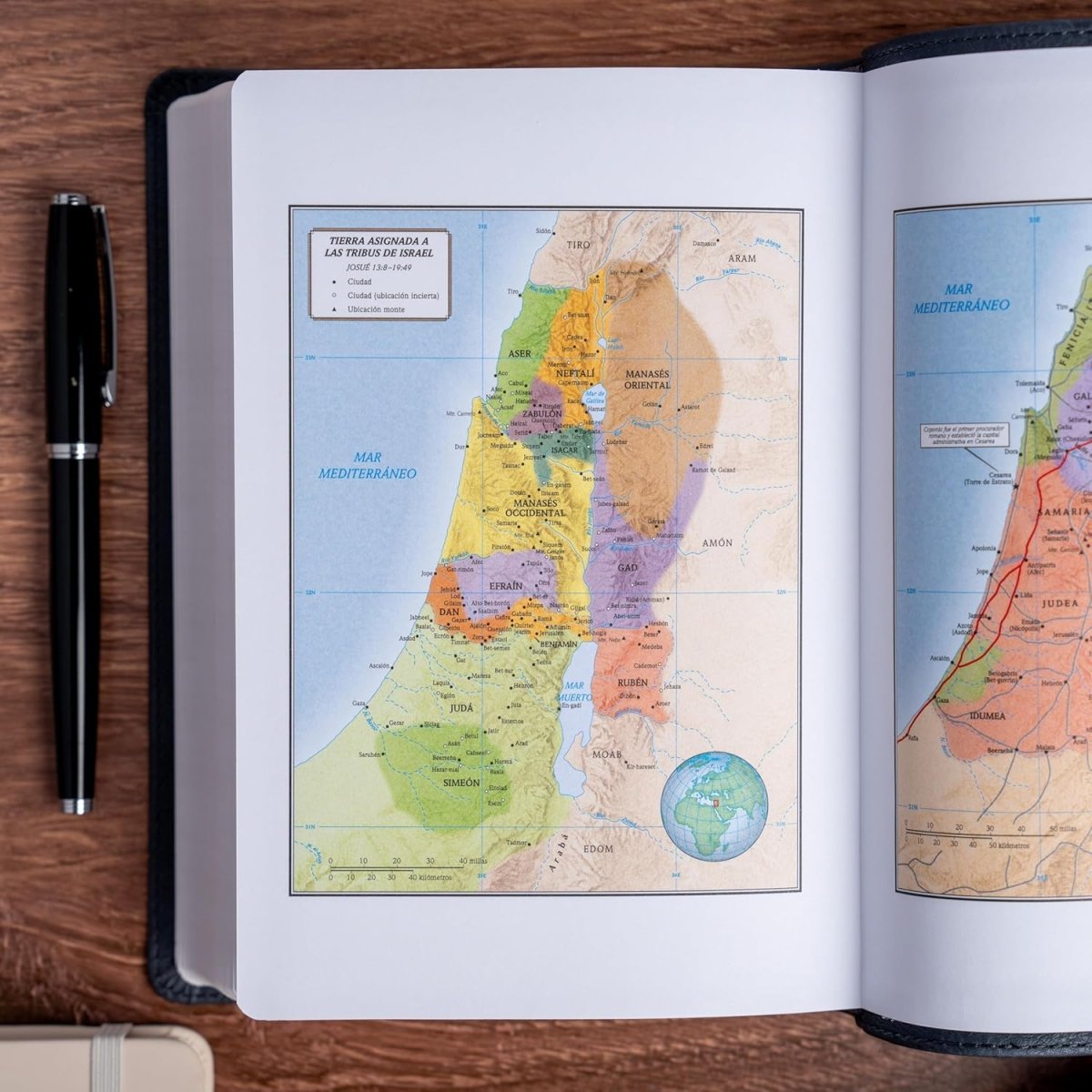 Biblia Reina-Valera 1960, Letra 12 Pt, 13,5×20, Tapa PU, León Ceniza