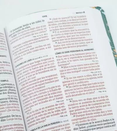 Biblia Reina-Valera 1960, Letra 12 Pt, 13,5×20, Tapa PU, Verde, Flores