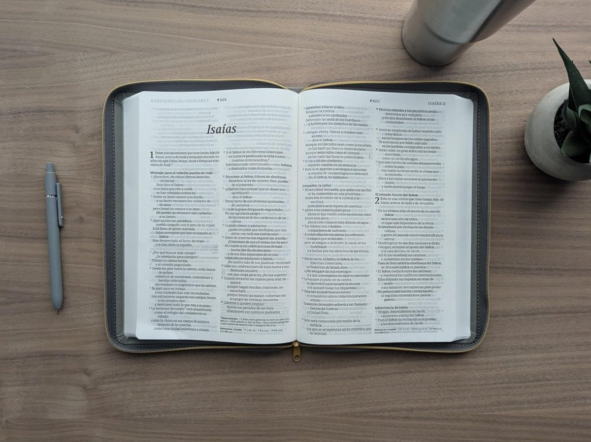 Biblia Nueva Traducción Viviente (NTV), Letra 8,25 Pt, Ultrafina, Tapa PU, Gris, Con Cierre