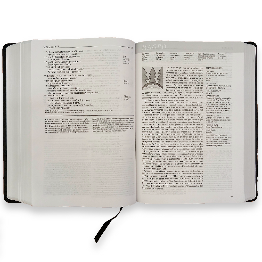 Biblia de Estudio del Diario Vivir Nueva Traducción Viviente – Tapa Imitación Piel Negro, Letra 11pt, 18x25 cm