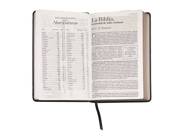 Biblia Reina Valera 1960 · 13,8x21,2 cm · Letra grande 12,5 pt · Edición clásica · Tapa imitación piel negra