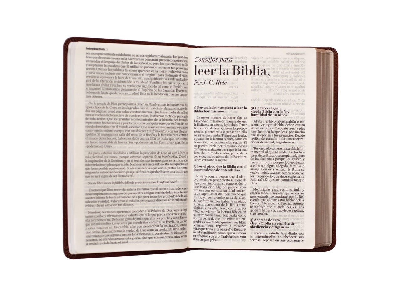 Biblia Reina Valera 1960 · 13,8x21,2 cm · Letra grande 12,5 pt · Edición clásica · Tapa imitación piel café