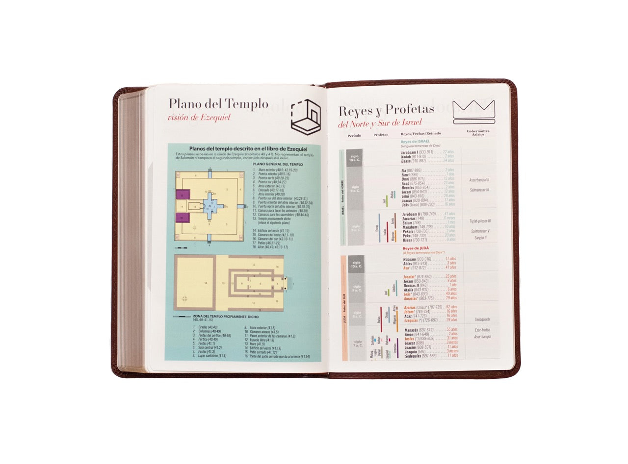 Biblia Reina Valera 1960 · 13,8x21,2 cm · Letra grande 12,5 pt · Edición clásica · Tapa imitación piel café