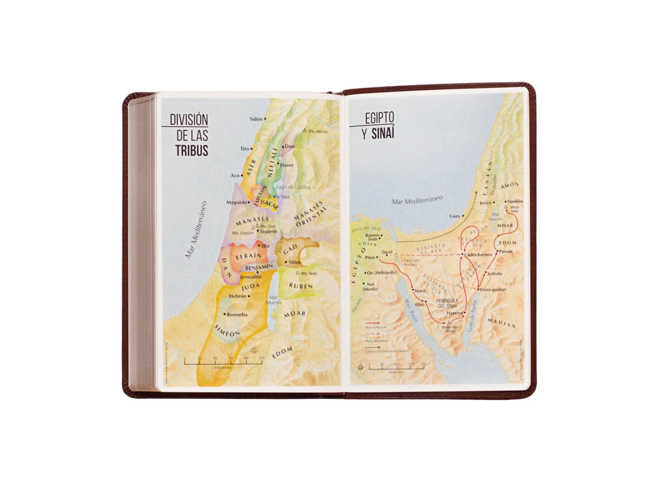 Biblia Reina Valera 1960 · 13,8x21,2 cm · Letra grande 12,5 pt · Edición clásica · Tapa imitación piel café