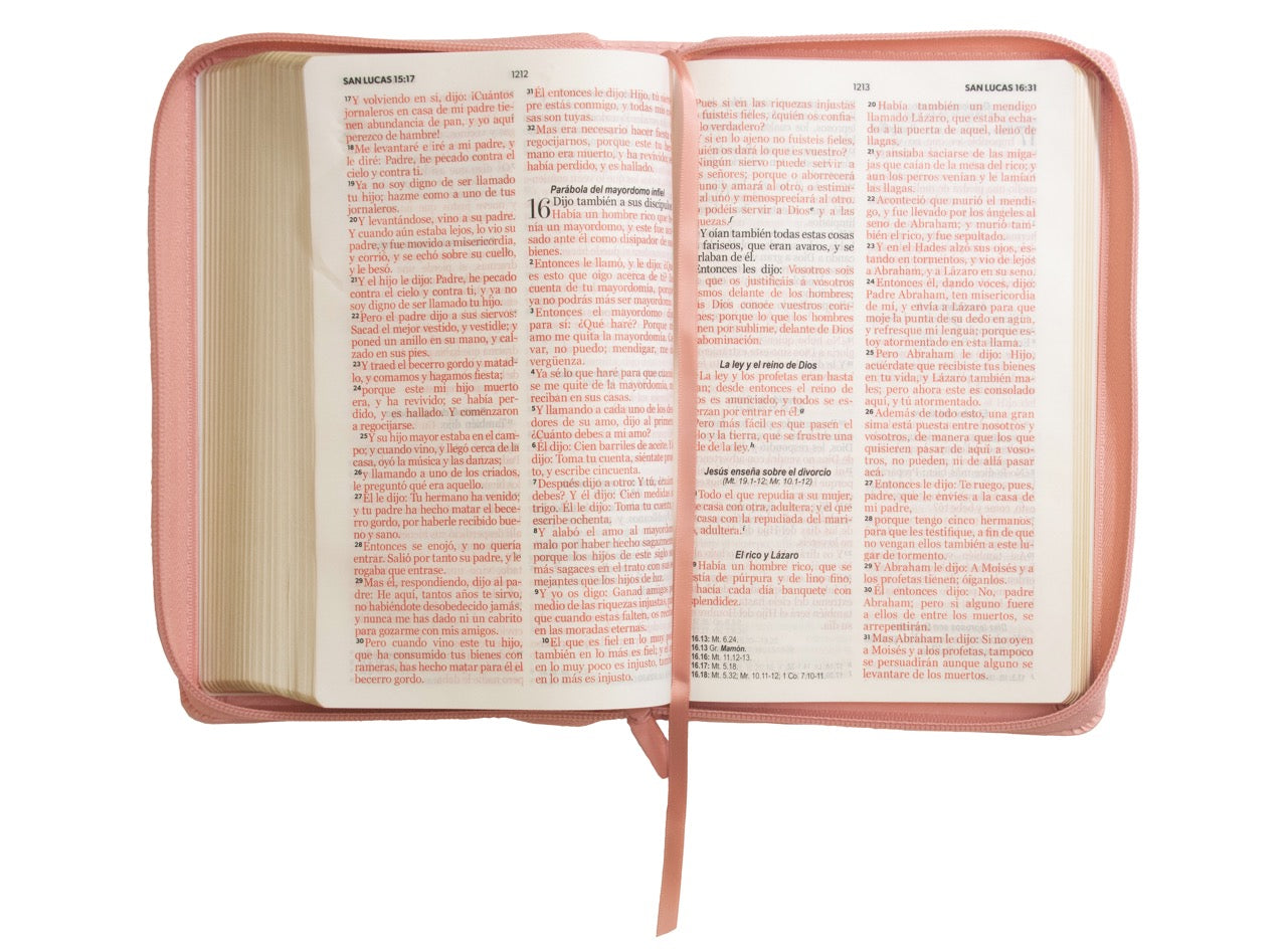 Biblia Reina Valera 1960 · 13,8x21,2 cm · Letra grande 12,5 pt · Con cierre · Edición clásica rosa