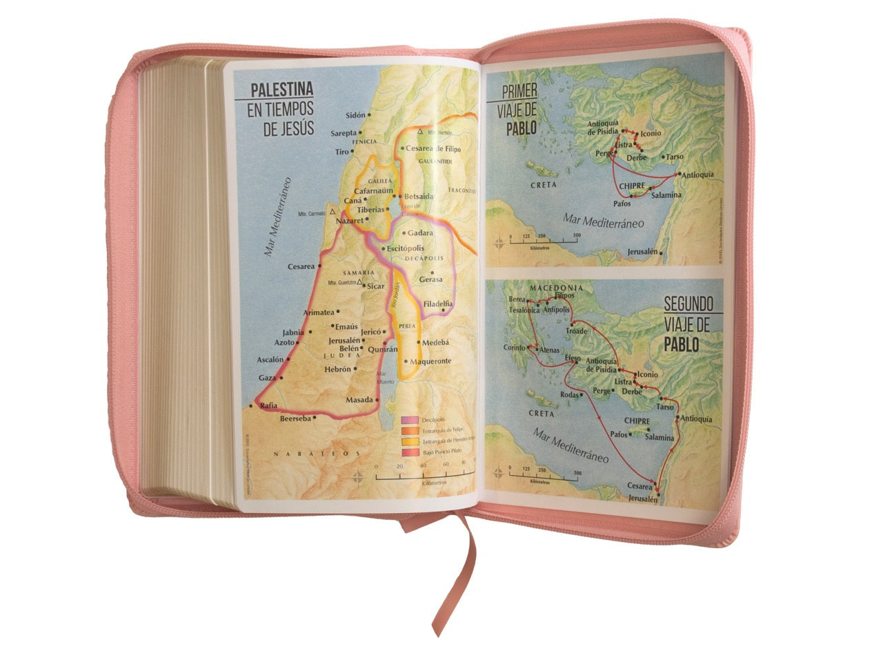 Biblia Reina Valera 1960 · 13,8x21,2 cm · Letra grande 12,5 pt · Con cierre · Edición clásica rosa
