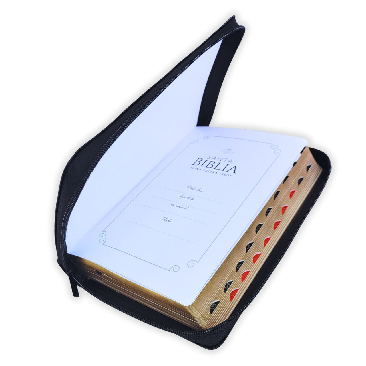 Biblia Reina Valera 1960 · 13,8x21,2 cm · Letra grande 12,5 pt · Con cierre e índice · Edición clásica negra