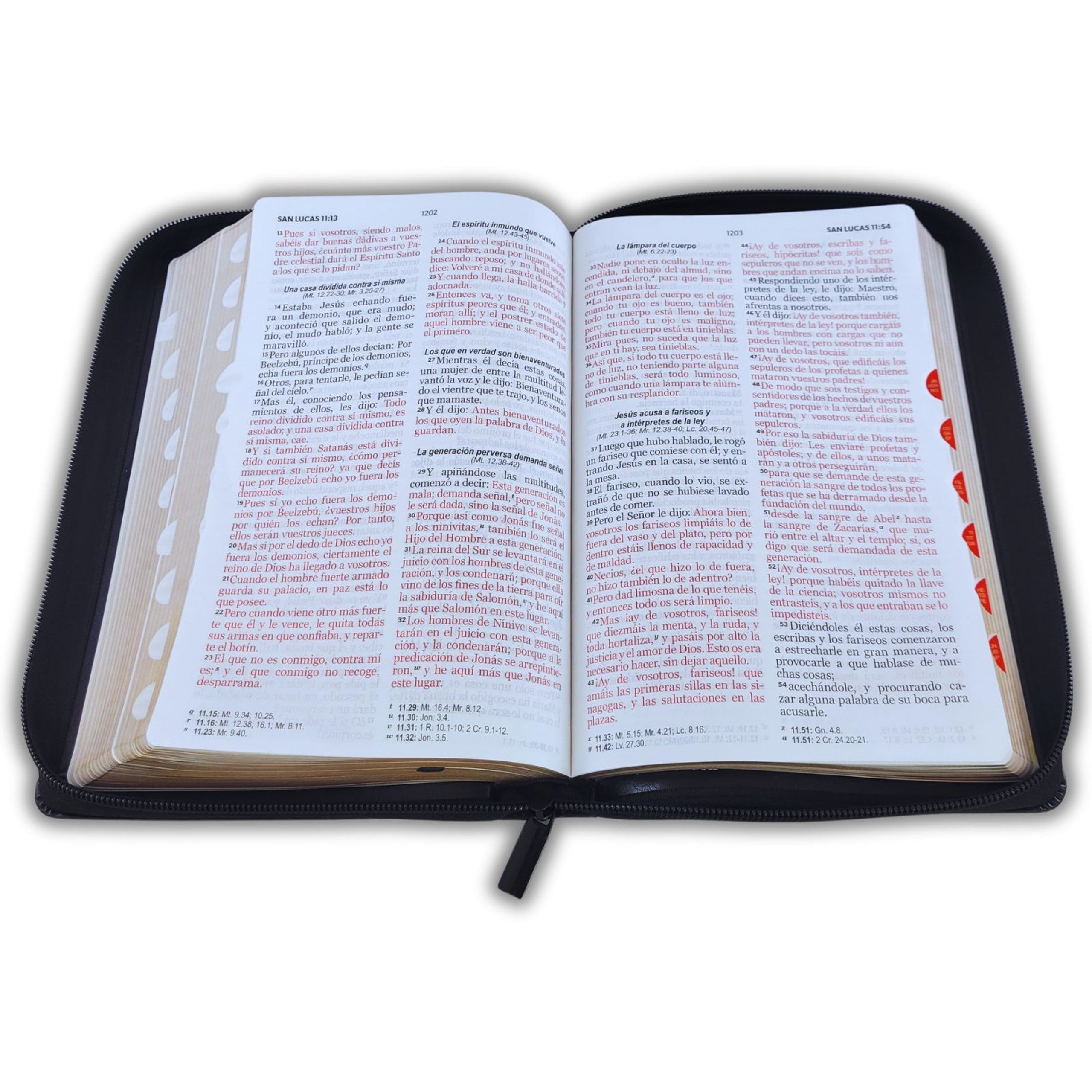 Biblia Reina Valera 1960 · 13,8x21,2 cm · Letra grande 12,5 pt · Con cierre e índice · Edición clásica negra