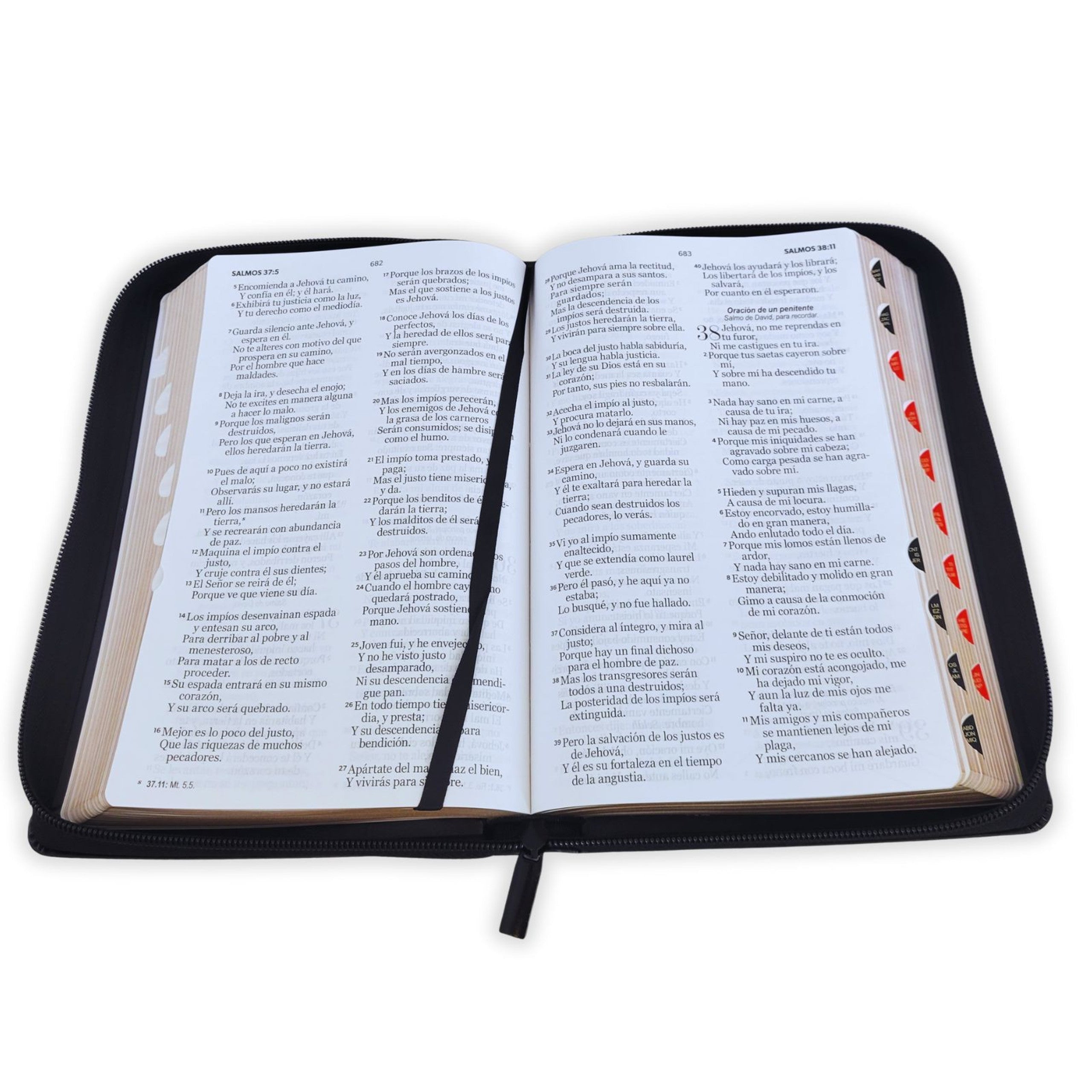 Biblia Reina Valera 1960 · 13,8x21,2 cm · Letra grande 12,5 pt · Con cierre e índice · Edición clásica negra