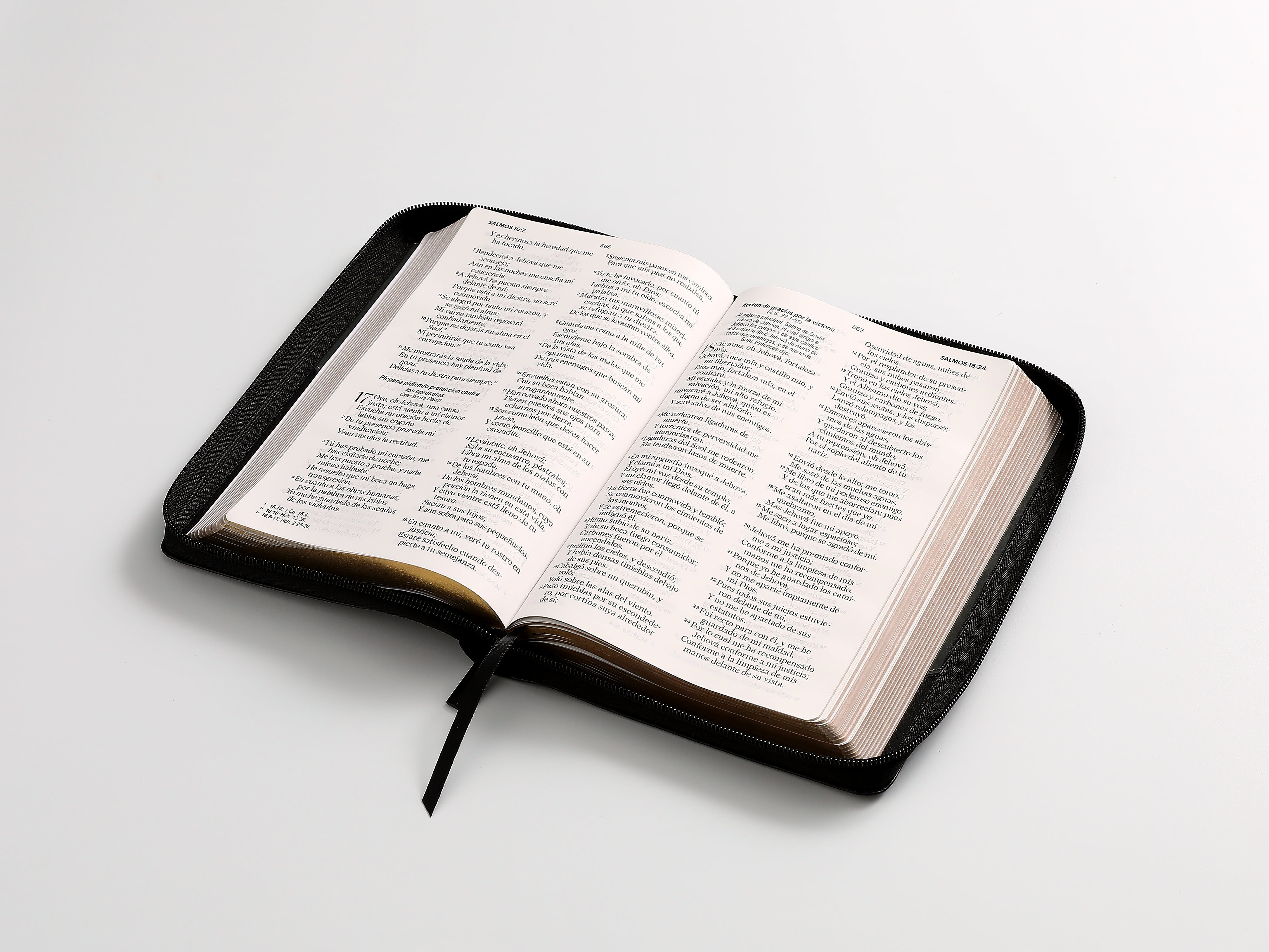 Biblia Reina Valera 1960 · 13,8x21,2 cm · Letra grande 12,5 pt · Con cierre · Diseño bitono negro y gris