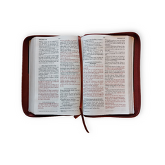 Biblia Reina Valera 1960 Letra grande Cierre PJR Marron