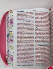 Biblia Reina Valera 1960 Letra Mayor Cierre PJR Rosa