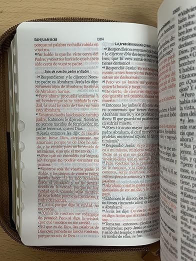 Biblia Reina Valera 1960 · 10x14 cm · Letra pequeña 8,5 pt · Con cierre e índice · Tapa imitación piel · Colección Expresión águila café