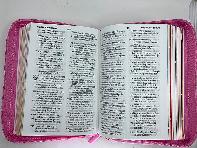 Biblia Reina Valera 1960 · 17x12 cm · Letra 10 pt · Con cierre · Colección Mi Gran Viaje tapa imitación piel rosa