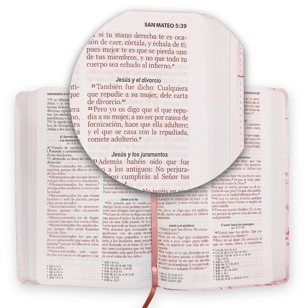 Biblia Reina Valera 1960 Letra Grande PJR Flex Flores Rosas
