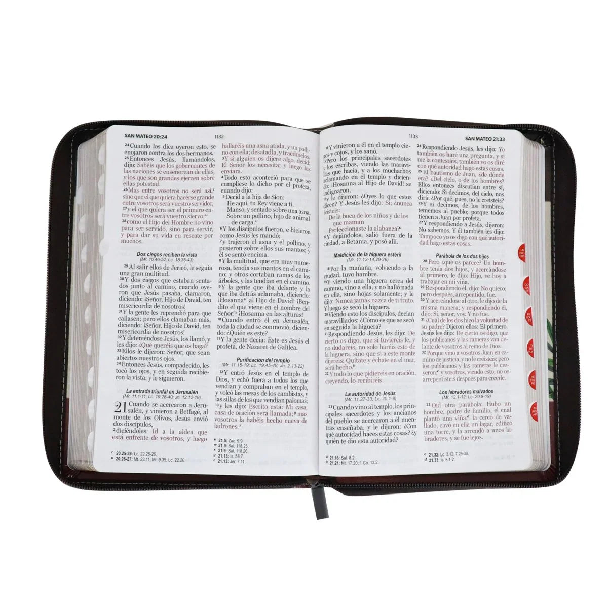 Biblia Reina Valera 1960 · 13,8x21,2 cm · Letra grande 12,5 pt · Con cierre e índice · Diseño tricolor fantasía marrón y grana