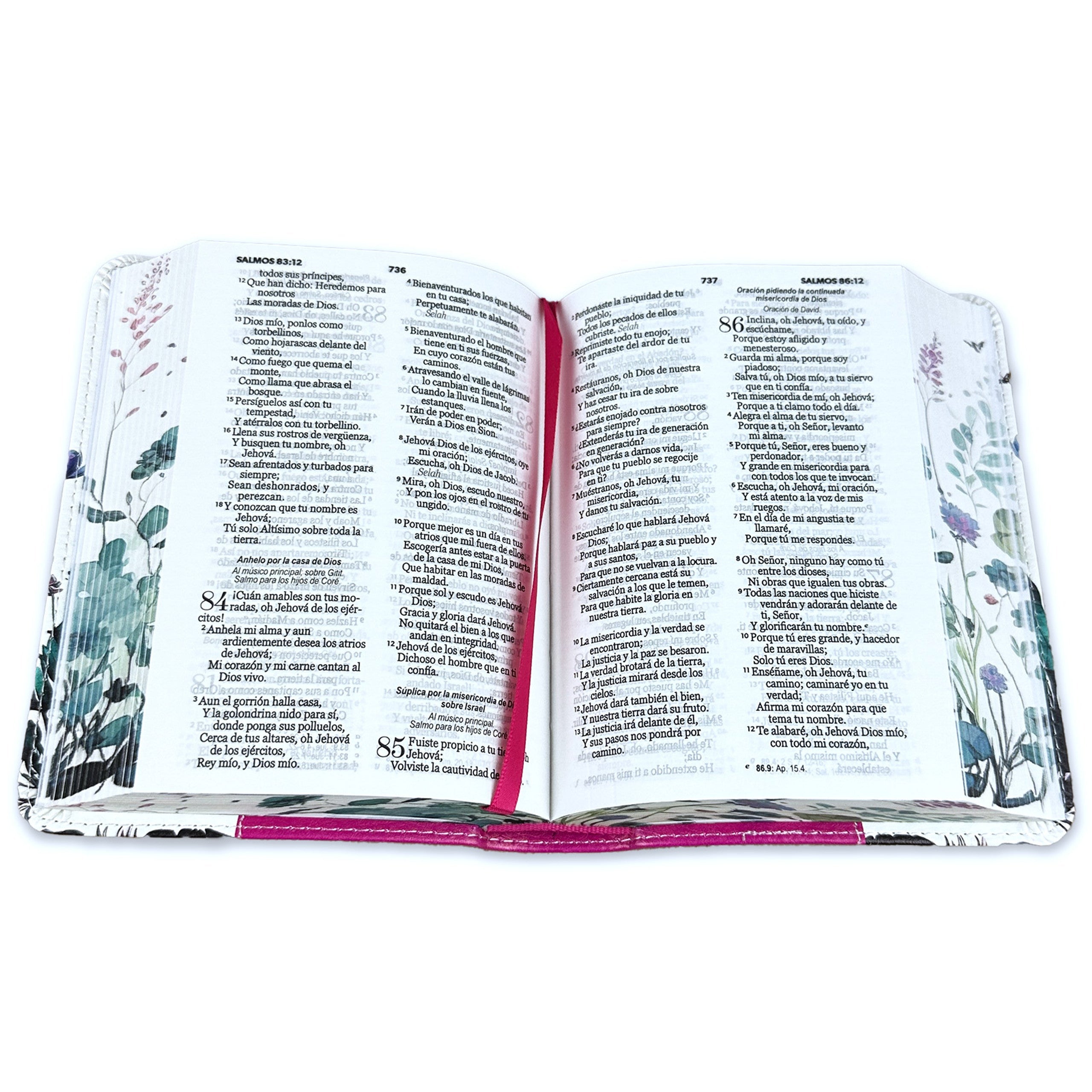 Biblia Reina Valera 1960 · 10x14 cm · Letra pequeña 8,5 pt · Con cierre · Tapa imitación piel · Colección Renovación lila