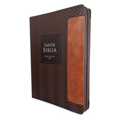 Reina Valera 1960 095Czti Lspgi 19P 18X26 Pjrgeométrico Café/Café