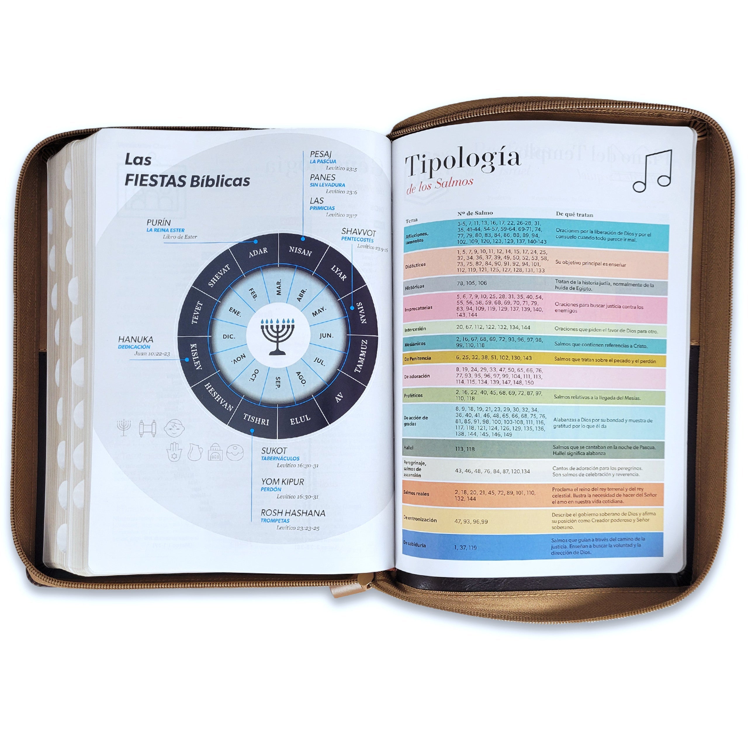 Biblia Reina Valera 1960 · 17x23,5 cm · Letra gigante 15 pt · Con cierre e índice · Diseño Ichtus café