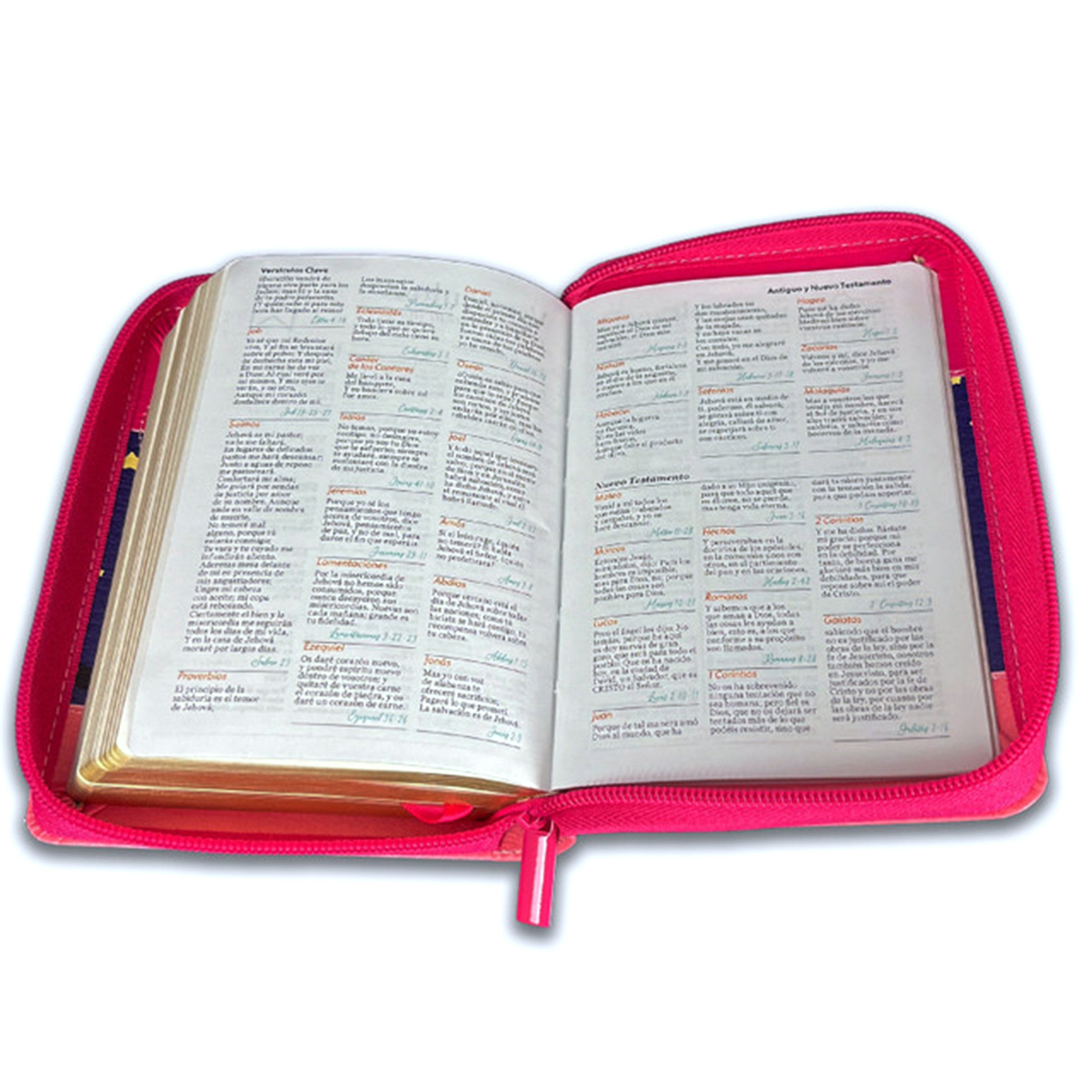 Biblia Reina Valera 1960 · 10x14 cm · Letra pequeña 8,5 pt · Con cierre · Tapa imitación piel · Colección Búho