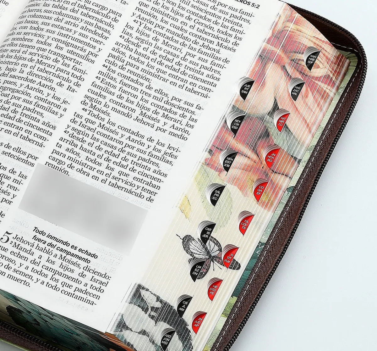 Biblia Reina Valera 1960 · 13,8x21,2 cm · Letra grande 12,5 pt · Con cierre e índice · Colección Pretty marrón