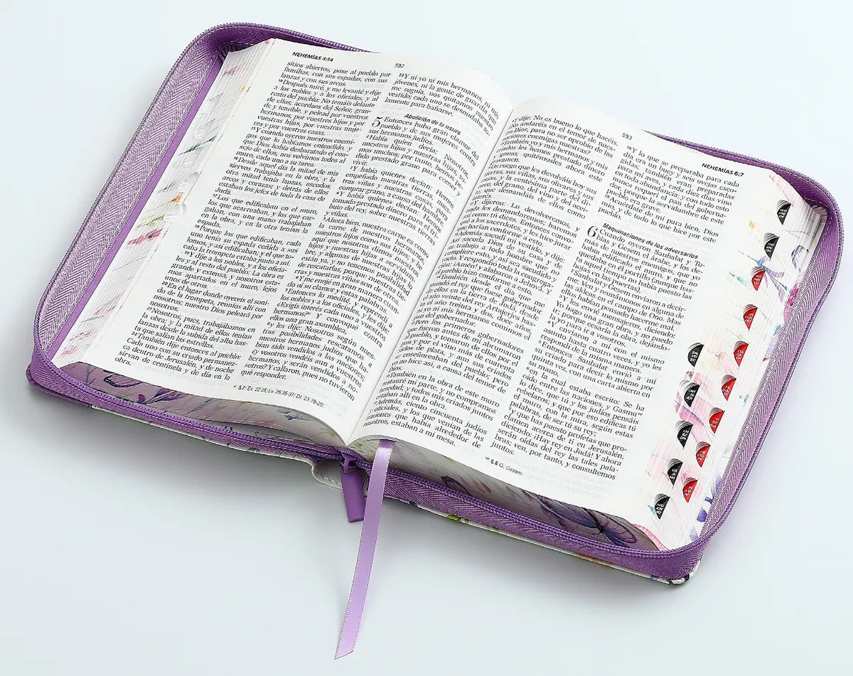 Biblia Reina Valera 1960 · 13,8x21,2 cm · Letra grande 12,5 pt · Con cierre e índice · Colección Pretty lila