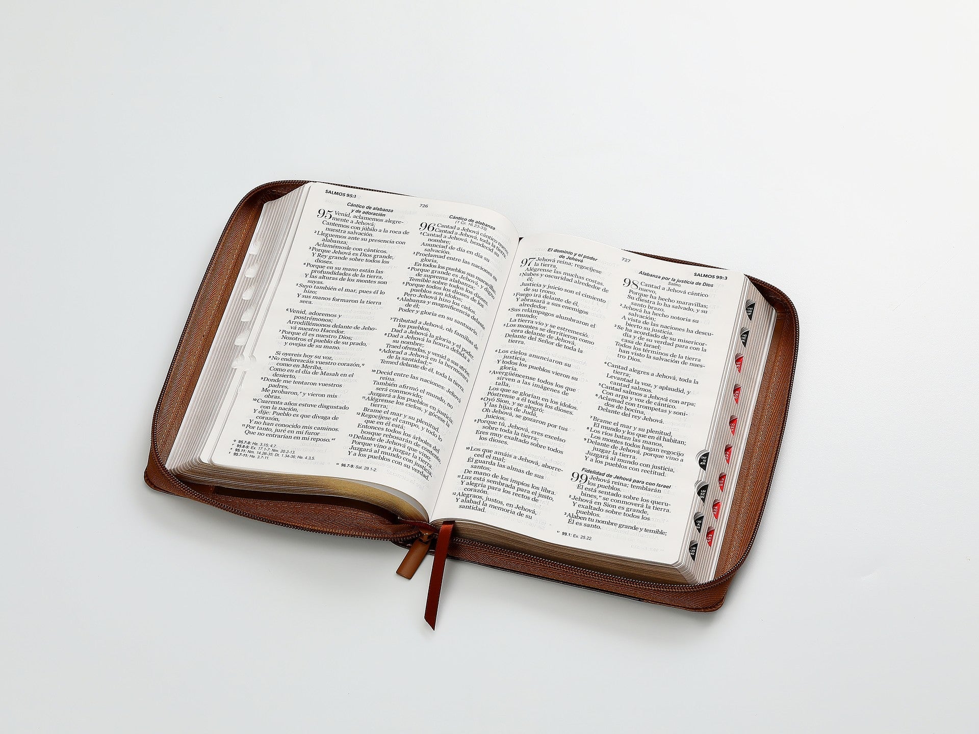 Biblia Reina Valera 1960 · 13,8x21,2 cm · Letra grande 12,5 pt · Con cierre e índice · Colección Inspiración águila café