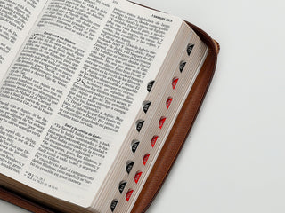 Biblia Reina Valera 1960 · 13,8x21,2 cm · Letra grande 12,5 pt · Con cierre e índice · Colección Inspiración águila café