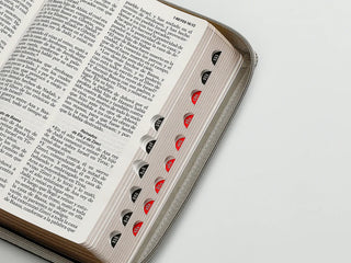 Biblia Rvr60 065Czti Lg Cierre Indice 12P 15 X 23 Inspiracion Len Negro/Gris/Gris