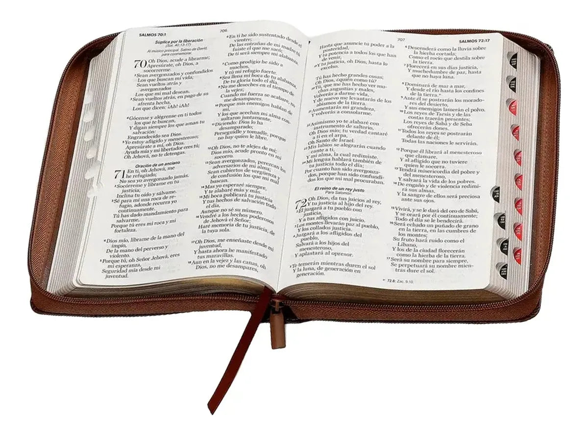 Biblia Reina Valera 1960 · 13,8x21,2 cm · Letra grande 12,5 pt · Con cierre e índice · Colección Inspiración Ichtus café