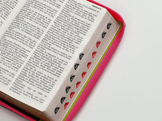 Biblia Rvr60 065Czti Lg Cierre Indice 12P 15 X 23 Inspiracion Flores