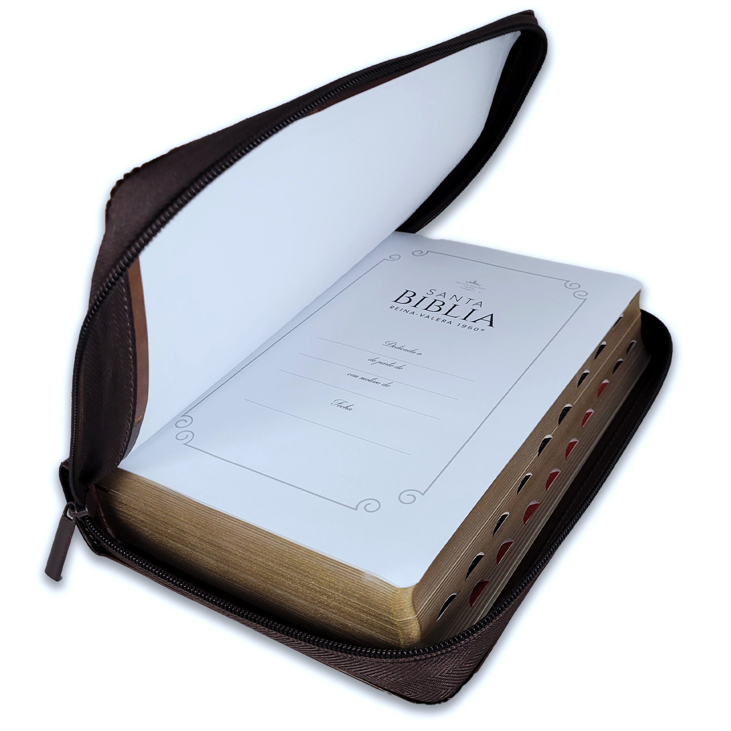 Biblia Reina Valera 1960 · 13,8x21,2 cm · Letra gigante 14 pt · Con cierre e índice · Colección Iconic café