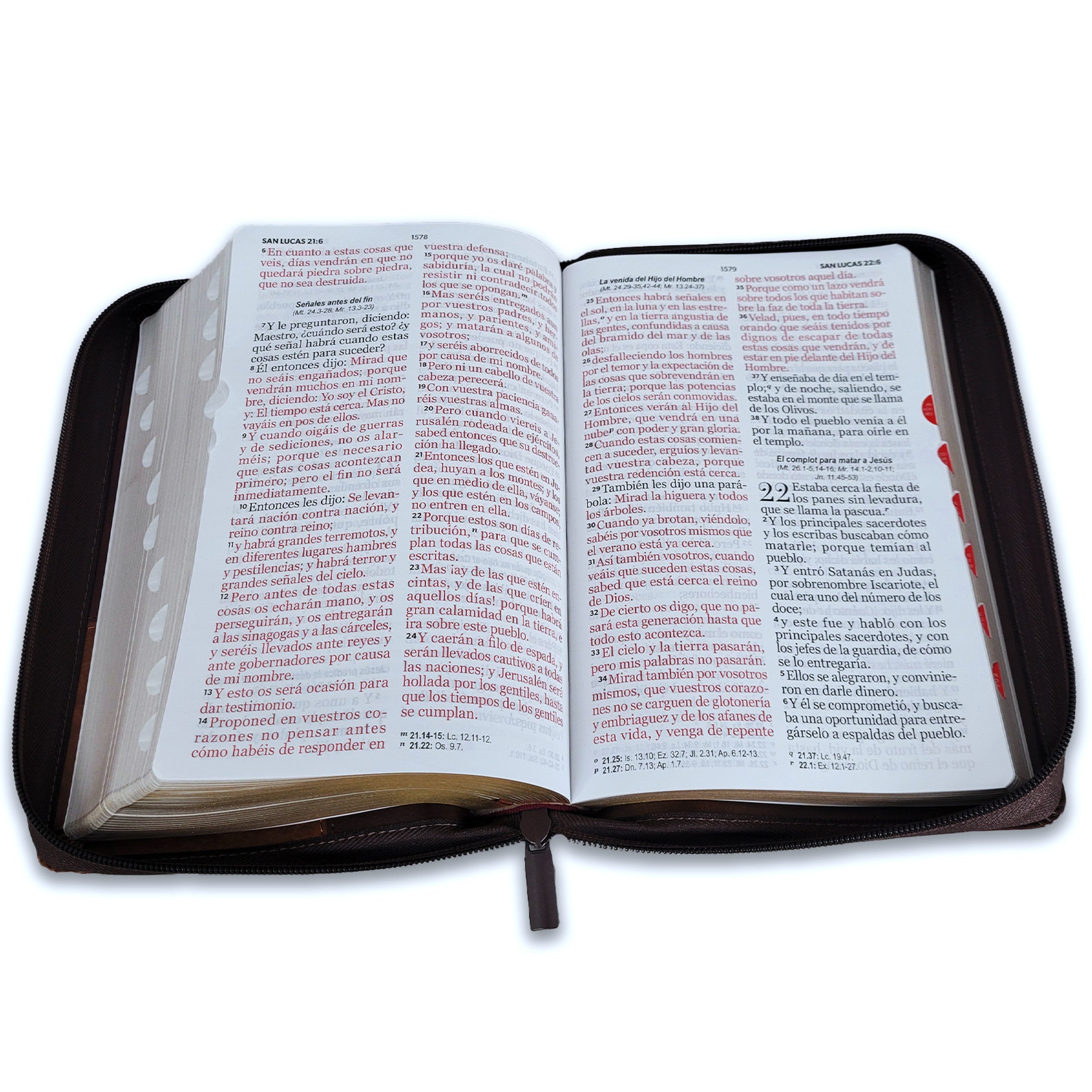 Biblia Reina Valera 1960 · 13,8x21,2 cm · Letra gigante 14 pt · Con cierre e índice · Colección Iconic café