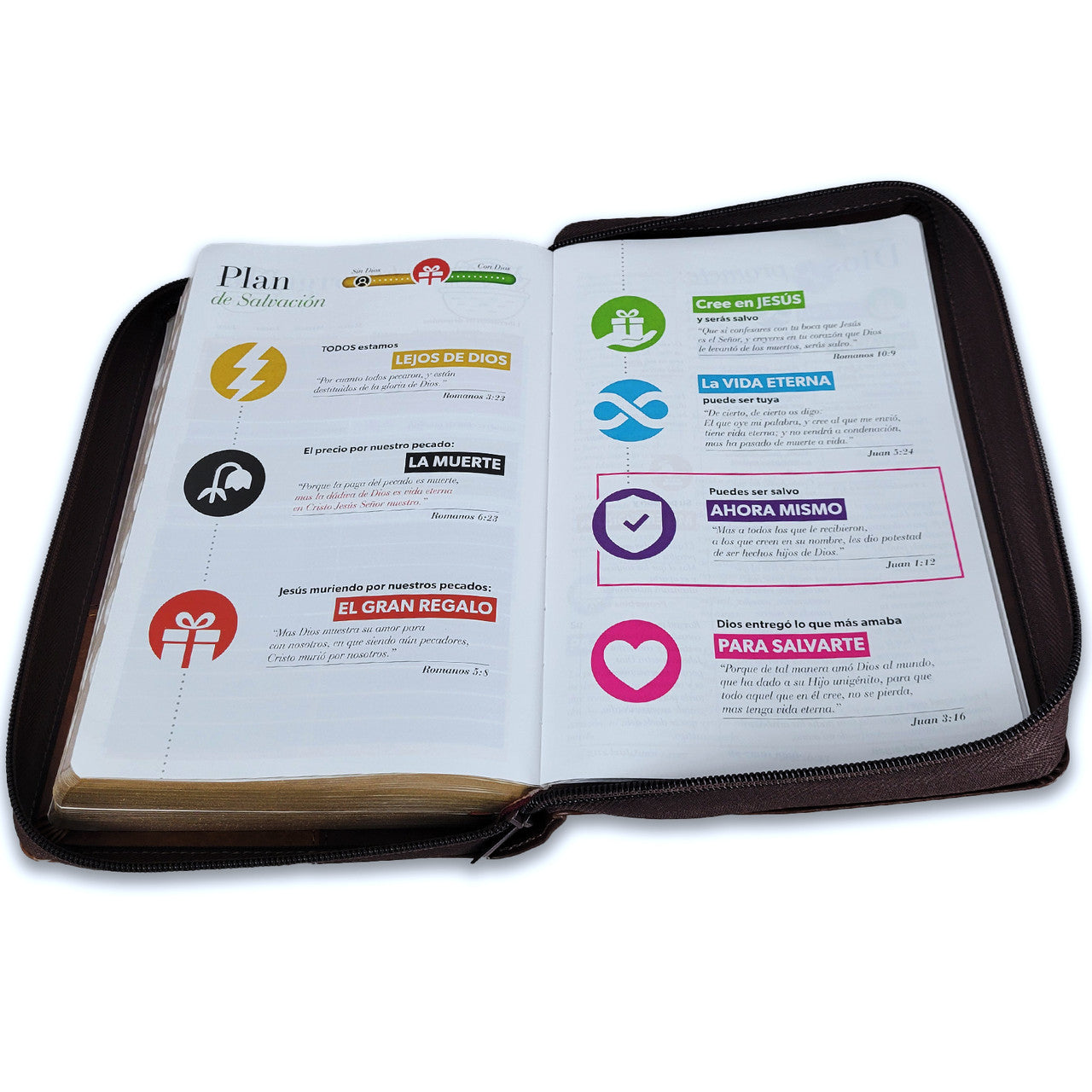 Biblia Reina Valera 1960 · 13,8x21,2 cm · Letra gigante 14 pt · Con cierre e índice · Colección Iconic café