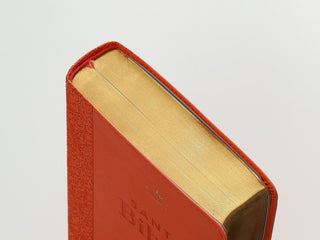 Reina Valera 1960 068C Lgi 14P 14X21 Colección Corinto Coral