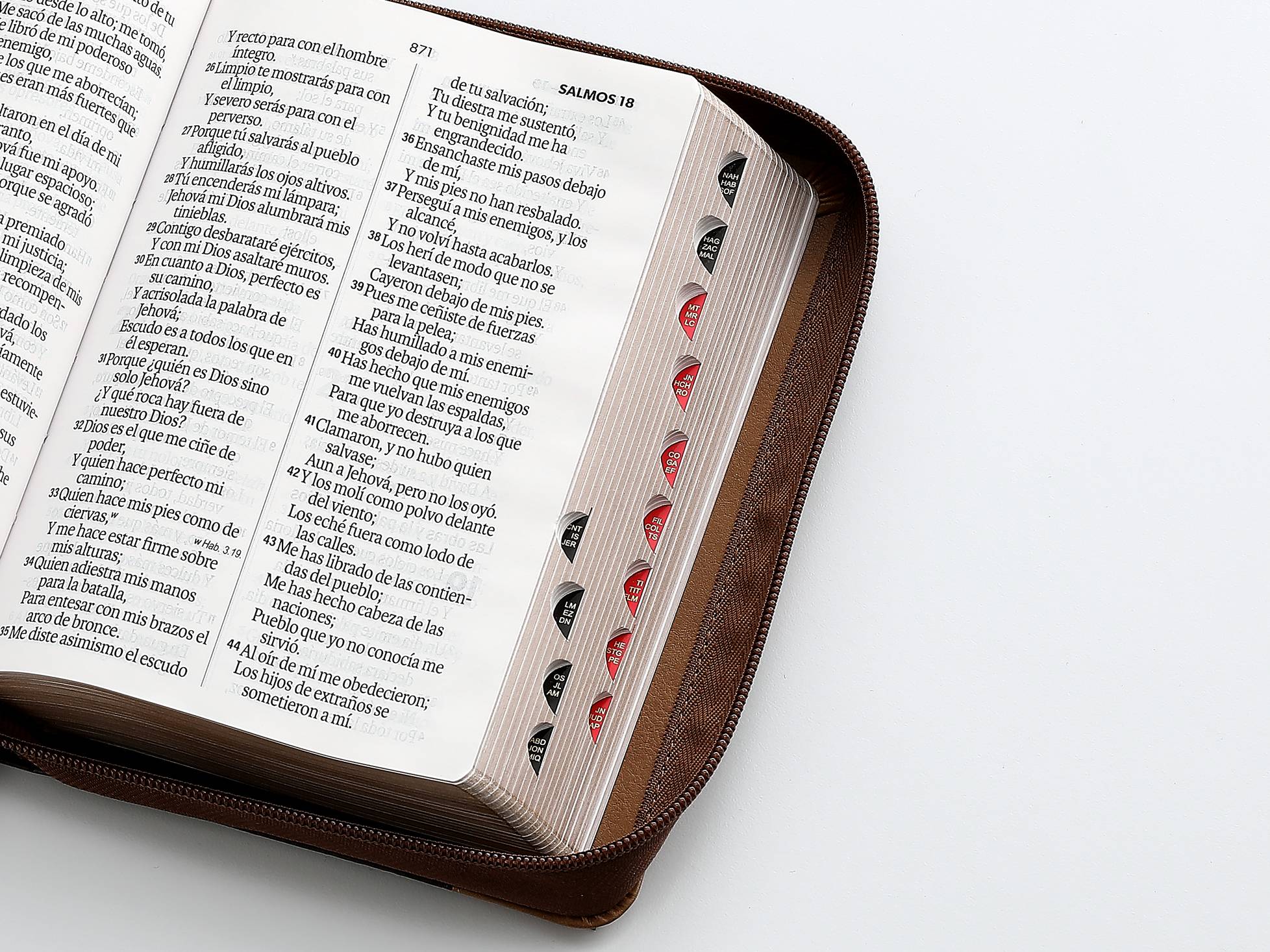 Biblia Reina Valera 1960 · 11x16 cm · Letra 12 pt · Piel tricolor con cierre e índice · Diseño águila café