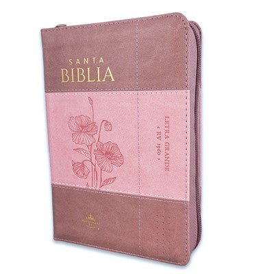 Biblia Reina Valera 1960 045Czti L 12P 11X16Cm Pjr I/Piel Bicolor Coral/Rosa