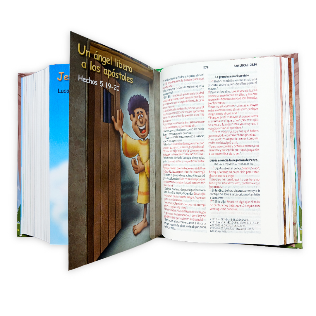 Biblia Reina Valera 1960 tapa dura "Amigos por Siempre" colores variados