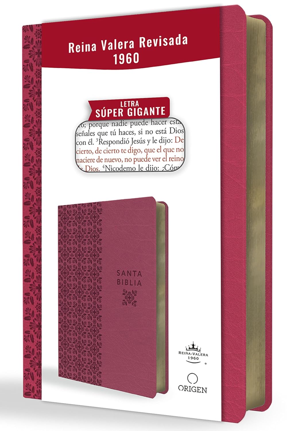 Biblia Reina Valera 1960 · Edición Super · Tapa fucsia