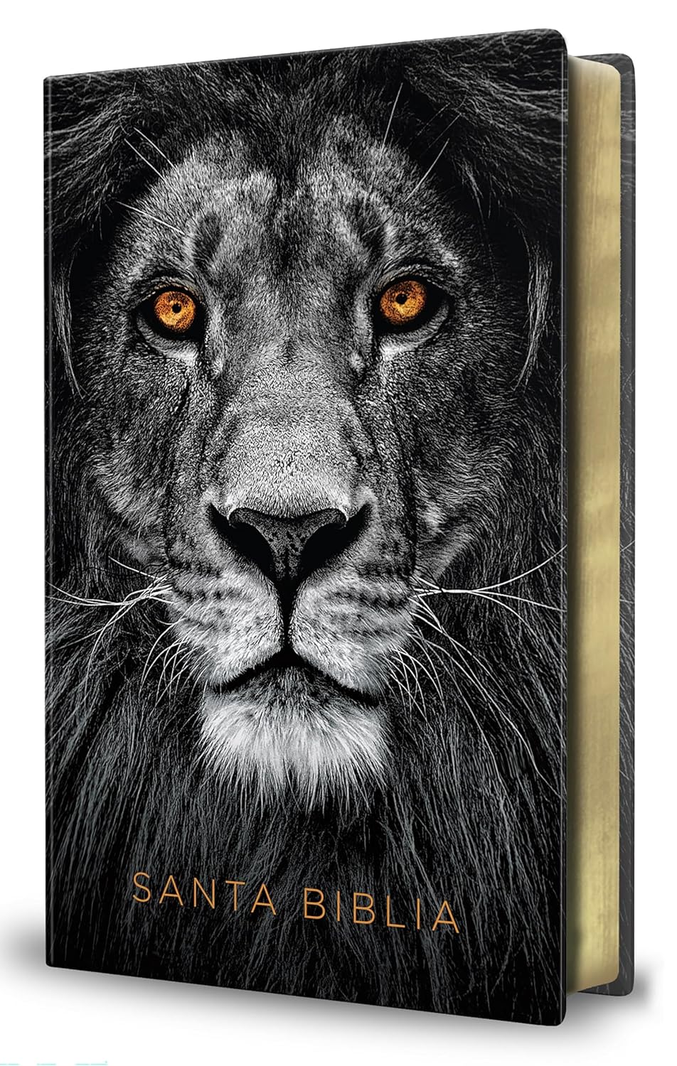 Biblia Reina Valera 1960 · Letra grande