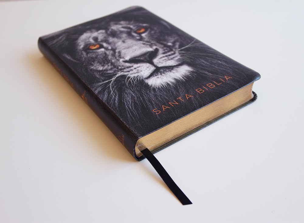 Biblia Reina Valera 1960 · Letra grande