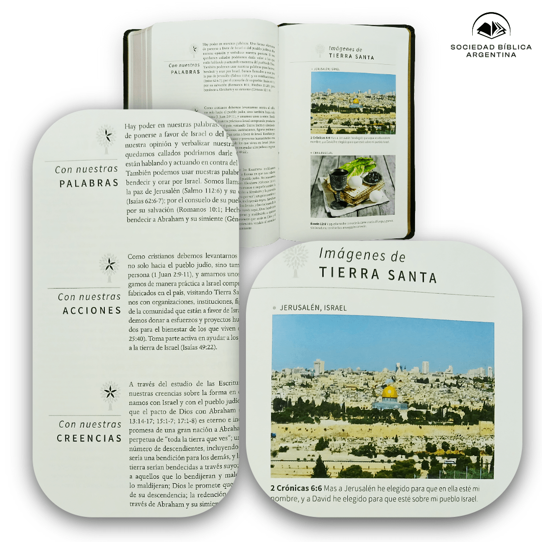 Biblia Reina-Valera 1960 León De Judá, Letra 10,5 Pt, 14×20, Palabras De Jesús En Rojo, Tapa PU, Color Bronce, Con León