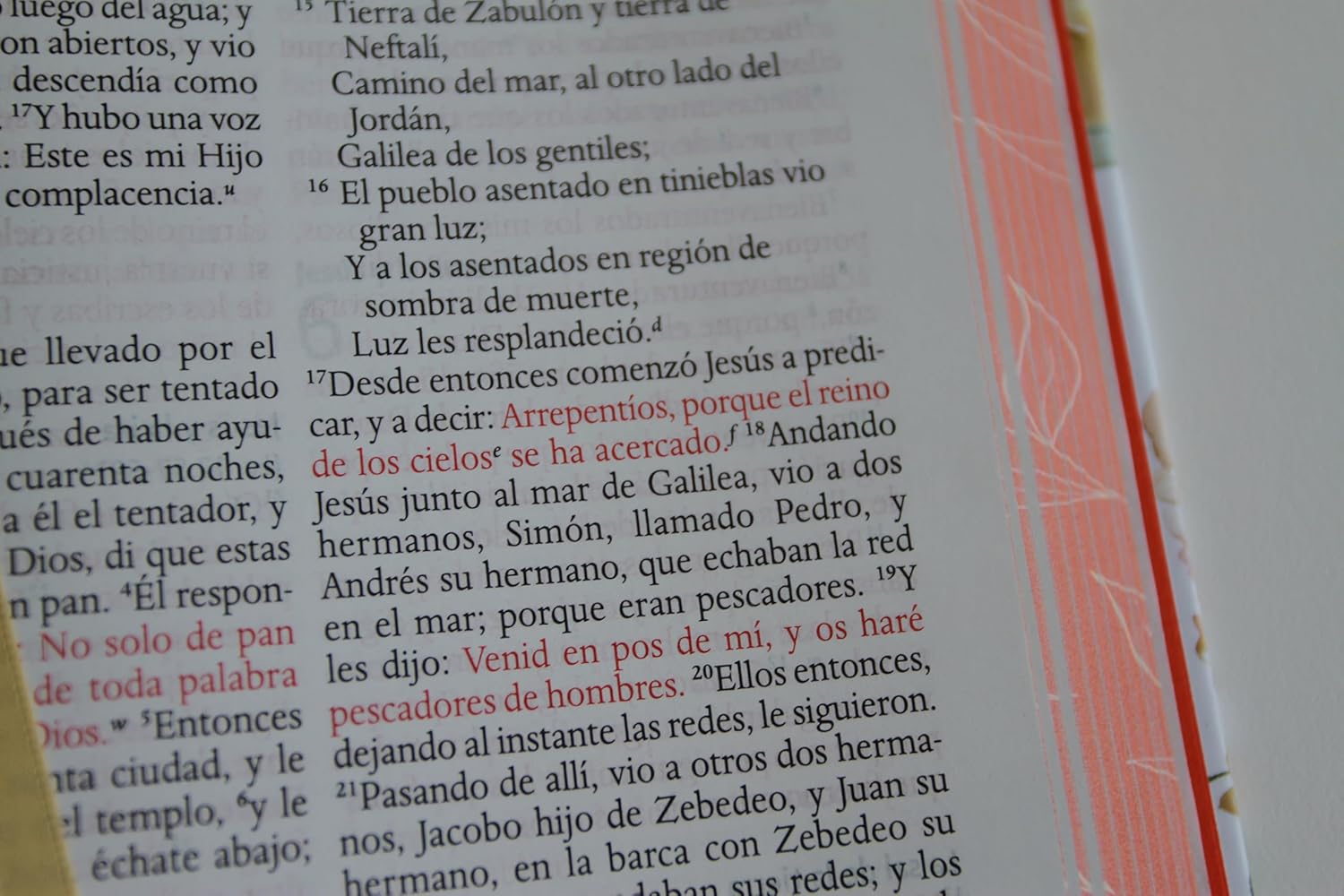 Biblia Reina Valera 1960 · Tapa dura · Diseño con flores rosadas